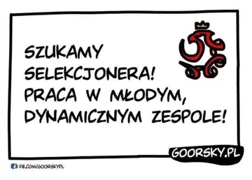 Memy po meczu Polska-Słowacja 