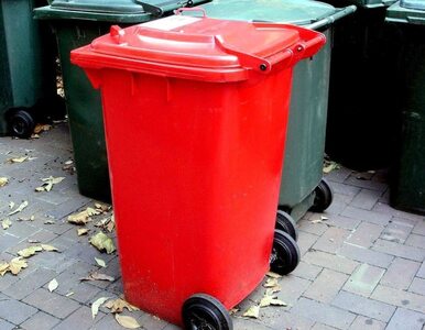 Miniatura: Polacy nie segregują odpadów z tworzyw...