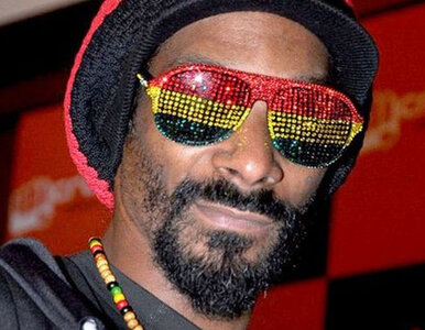 Miniatura: Snoop Lion pisze bloga dla "Wall Street...