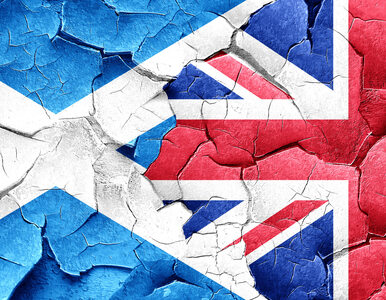 Miniatura: Wielka Brytania nie chce szkockiego...