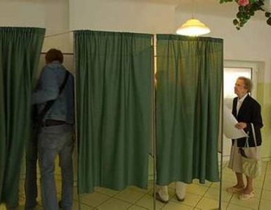 Miniatura: PO wystartuje w niemieckich wyborach
