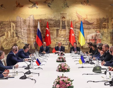 Miniatura: Ruchy rosyjskich wojsk na Ukrainie...