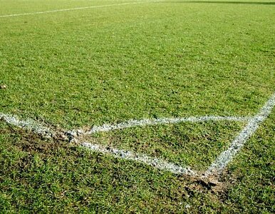 Miniatura: Górnik Zabrze stracił sponsora