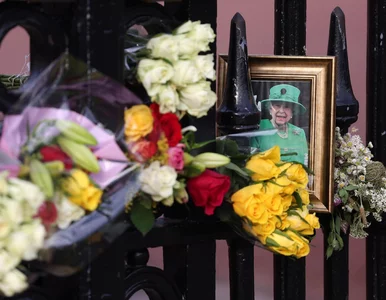 Miniatura: Rocznica śmierci Elżbiety II. Książę Harry...