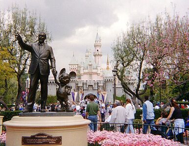 Miniatura: Bizon biegał po Disneylandzie. Tratował...