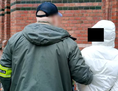 Miniatura: Wielkopolski gang rozbity. Wysyłali...