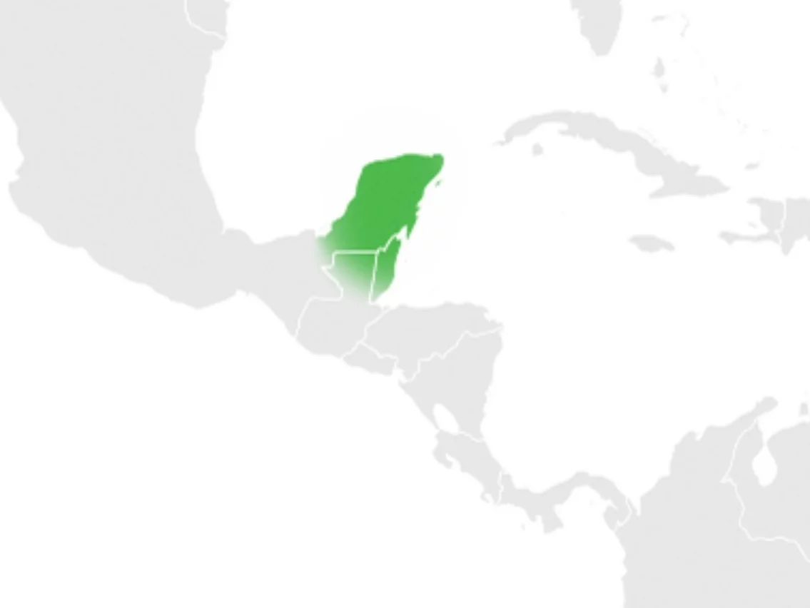 Półwysep zaznaczony na zielono to: