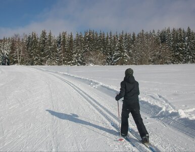 Miniatura: 50 km tras na narty 30 minut od centrum...