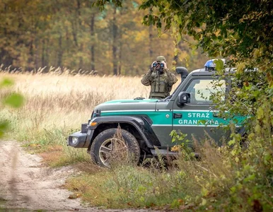 Miniatura: Najnowszy raport Straży Granicznej. Ponad...