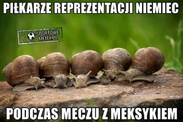 Mem po meczu Niemcy - Meksyk 