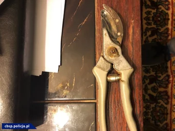 CBŚP udaremniło porwanie 