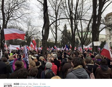 Miniatura: Manifestacje KOD w całym kraju