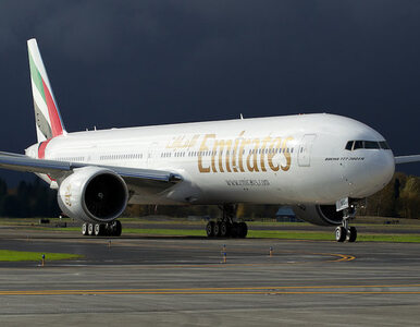 Miniatura: Emirates uruchomią czwarte codzienne...