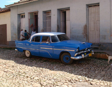 Miniatura: W całym kraju w 6 miesięcy sprzedano 50...