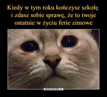 Ferie zimowe 2020 - memy 
