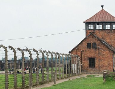 Miniatura: Do Archiwum Auschwitz trafił prywatny list...