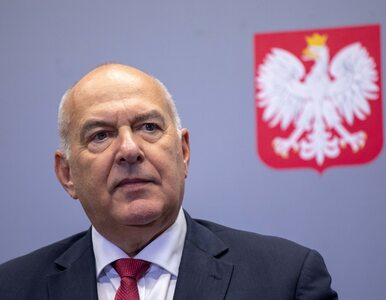 Miniatura: Kościński: Polska gospodarka przejdzie w...