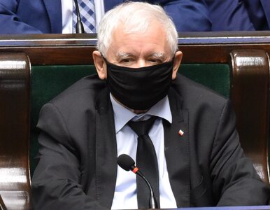 Miniatura: Kaczyński skomentował sprawę wiceministra...