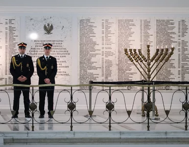 Miniatura: Groził wybuchem bomby w Sejmie. Polityk...