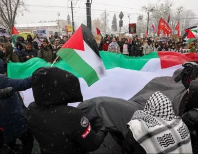 Miniatura: Demonstracja pod ambasadą Izraela w...