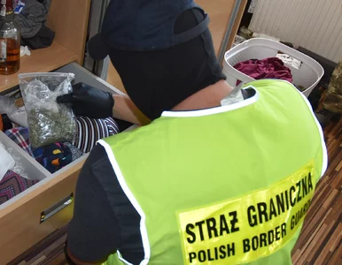 Miniatura: Sześciu Polaków zatrzymanych przez Straż...