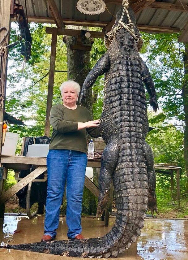 Judy Cochran z upolowanym aligatorem 