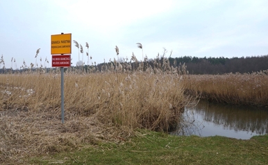 35-latek próbował uciec przed Strażą Graniczną. Podczas przeszukania...