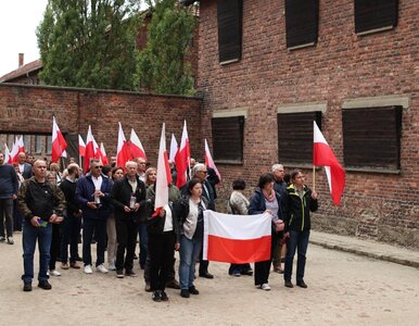 Miniatura: Awantura przed Muzeum Auschwitz, ludzie...