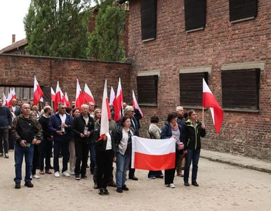 Miniatura: Awantura przed Muzeum Auschwitz, ludzie...