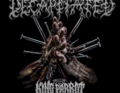 Miniatura: Członkowie polskiego zespołu aresztowani w...