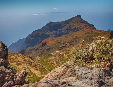 Miniatura: Co zrobić z wykupioną wycieczką? Ekspert:...