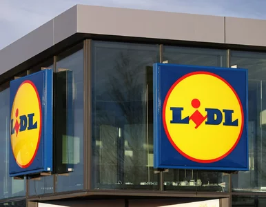 Miniatura: Lidl przecenia popularne ryby. To ostatnia...