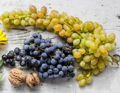 Miniatura: Jedzenie winogron może skończyć się...