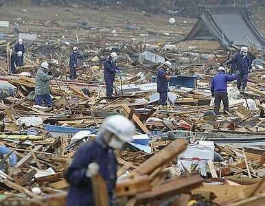 Miniatura: Japonia szuka ofiar trzęsienia ziemi