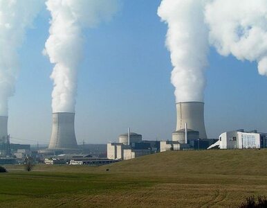 Miniatura: Belgia chce wygasić stare reaktory atomowe