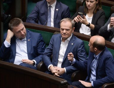 Miniatura: Tusk wspiera Gronkiewicz-Waltz, Sikorski...