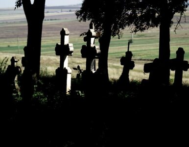 Miniatura: Zniszczyli XIX-wieczny cmentarz. Zostały...