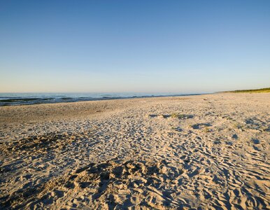 Miniatura: Zapomnij o Świnoujściu. To unikatowa plaża...