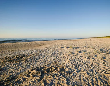 Miniatura: Zapomnij o Świnoujściu. To unikatowa plaża...