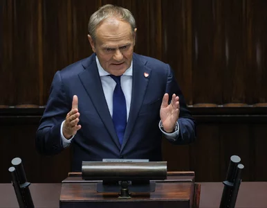 Miniatura: „PiS w opozycji bardziej...