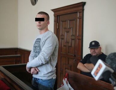 Miniatura: Wnuk Lecha Wałęsy trafi do więzienia?...