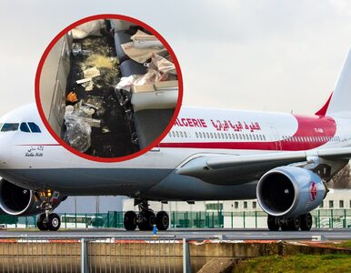 Miniatura: Turyści zaśmiecili samolot jak mało kto....