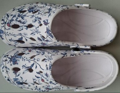 Miniatura: Rakotwórcza i uczulająca substancja w...