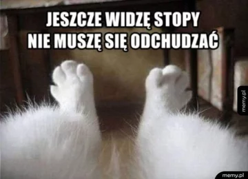 Mem dotyczący odchudzania 