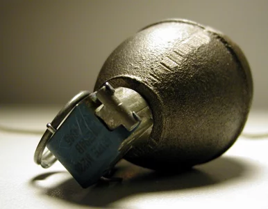 Miniatura: Ukradł torebkę, wsadzili go za... granaty