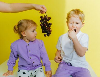 Miniatura: Dwaj chłopcy zmarli po zjedzeniu winogron....