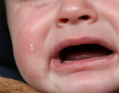 Miniatura: Niemowlę z obrażeniami ciała trafiło do...