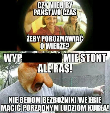 Mem z nosaczem sundajskim 