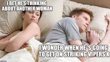 Mem inspirowany odcinkiem „Striking Vipers” 
