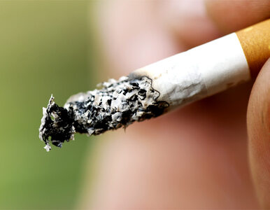 Miniatura: Częściowy zakaz sprzedaży papierosów - ile...